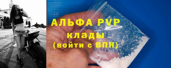 крисы Тайга