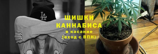 крисы Тайга