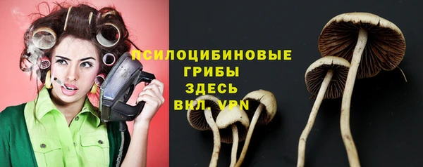 mdma Струнино