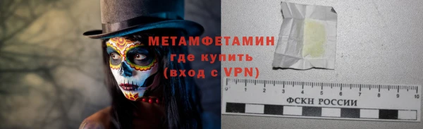 крисы Тайга