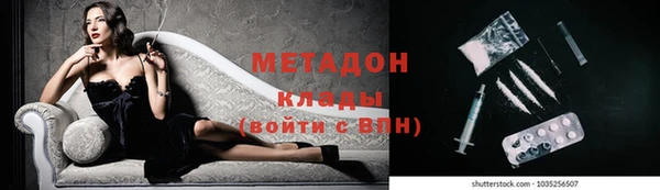 крисы Тайга
