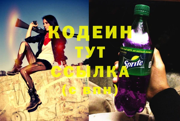 крисы Тайга
