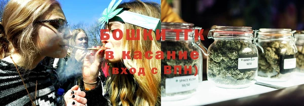 крисы Тайга