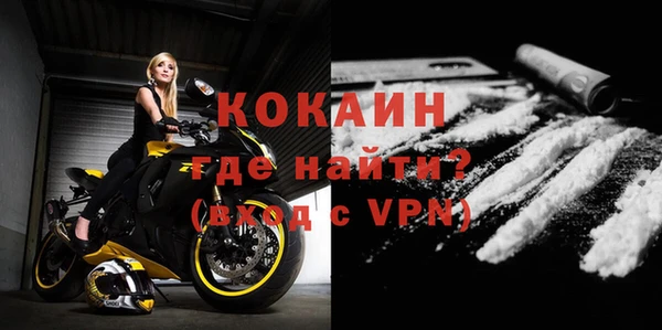 крисы Тайга