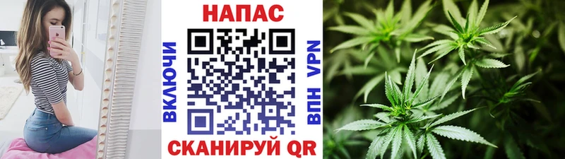 Купить где  Алдан  Канабис сатива 